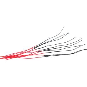 (AZ) 整流ダイオード 12V/1A 10本セット 作業しやすい配線タイプ/電流の逆流防止(ネコポス)