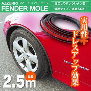 フェンダー モール /オーバーフェンダー 汎用 2.5m ハミタイ