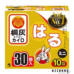 桐灰 小林製薬 桐灰カイロ 貼る マグマ 10個入【ドラッグストア
