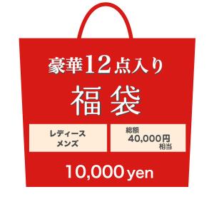 豪華12点入り 福袋 レディース 女性 メンズ 男性 洋服 服 ファッション 50代 60代 70代 80代 90代 通販