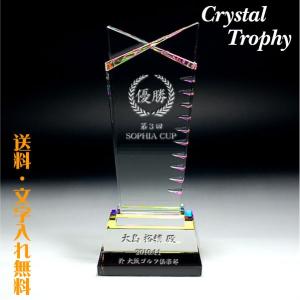 優勝杯 優勝カップ トロフィー スポーツ trophy とろふぃー 記念品名入れプレゼントのビブレス