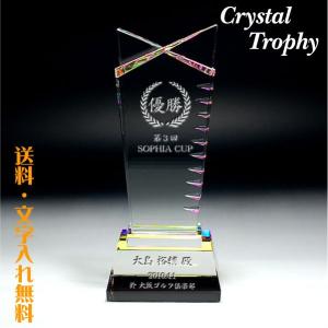 優勝杯 優勝カップ トロフィー スポーツ trophy とろふぃー 記念品名入れプレゼントのビブレス｜b-breath