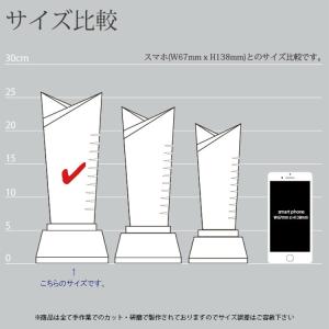 優勝杯 優勝カップ トロフィー スポーツ tr...の詳細画像3