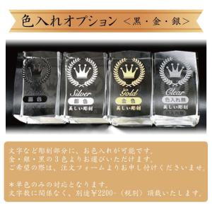 優勝杯 優勝カップ トロフィー スポーツ tr...の詳細画像5