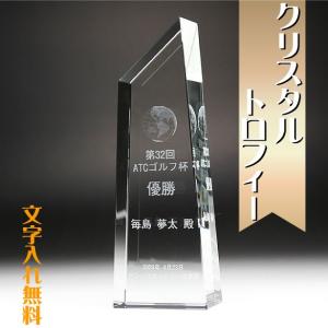 トロフィー 盾 勤続 年記念 楯 優勝杯 最優秀賞 trophy 大会記念トロフィー とろふぃー｜b-breath