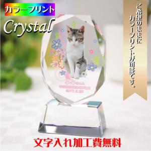 ペット 位牌 ペット位牌 メモリアル 遺影 仏壇 仏具 クリスタル位牌