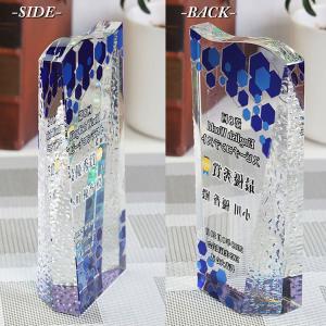 トロフィー オリジナル Uvカラープリント加工 記念品 名入れ 贈り物 綬章 祝い 叙勲 勇退記念 退職記念 日本最大級の品揃え
