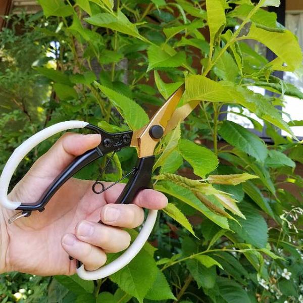 剪定ばさみ 剪定鋏 プロ用 ガーデニング 盆栽 剪定バサミ 庭木 園芸 枝切バサミ 花ばさみ フラワ...
