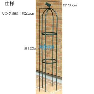 トレリス アイアン オベリスク つるバラ 薔薇...の詳細画像1