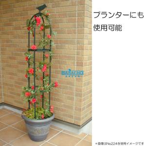 トレリス アイアン オベリスク つるバラ 薔薇...の詳細画像2