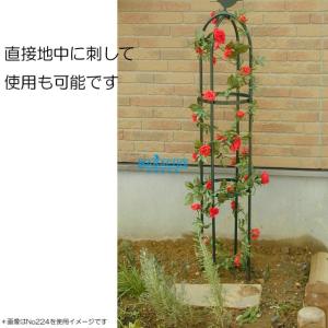 トレリス アイアン オベリスク つるバラ 薔薇...の詳細画像3