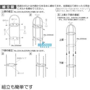 トレリス アイアン オベリスク つるバラ 薔薇...の詳細画像4