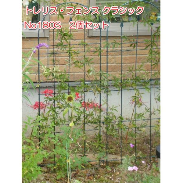トレリス フェンス アイアン おしゃれ つるバラ 薔薇トレリス 幅38x奥行2.7x高さ73cm 2...