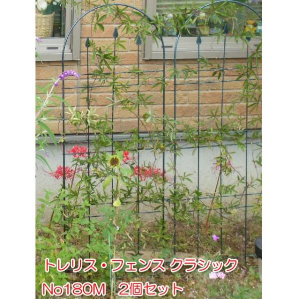 トレリス フェンス アイアン おしゃれ つるバラ 薔薇トレリス 幅38x奥行2.7x高さ100cm ...