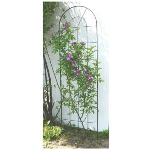 トレリス フェンス アイアン おしゃれ つるバラ 薔薇トレリス 幅50x