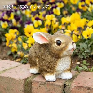 玄関 うさぎ 置物 ガーデニング 雑貨 インテ...の詳細画像1