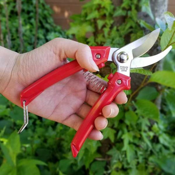 剪定ばさみ ステンレス LF-1 剪定バサミ 日本製  女性用 枝切りバサミ 園芸バサミ 枝切りばさ...