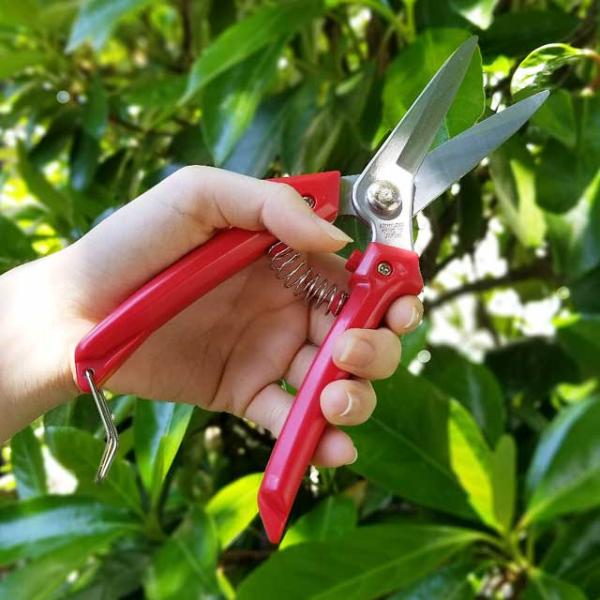 万能ばさみ ステンレス LF-2 剪定バサミ 日本製  女性用 枝切りバサミ 園芸バサミ 枝切りばさ...