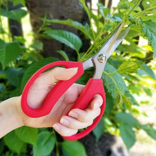 剪定ばさみ 長刃大久保鋏 BH-2 剪定バサミ 日本製  女性用 枝切りバサミ 園芸バサミ 枝切りば...