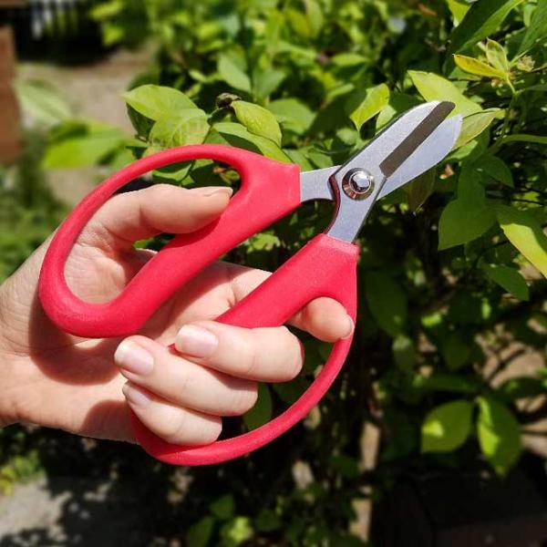 剪定ばさみ 古流鋏 BH3 剪定バサミ 日本製  女性用 枝切りバサミ 園芸バサミ 枝切りばさみ 剪...