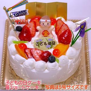 子供の日ケーキ 生クリームケーキ 5号 /  子供の日プレゼント 子供の日 プレゼント 孫 ケーキ お菓子 子どもの日 こどもの日 こどものひ｜b-c-c