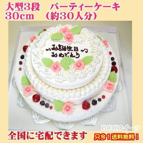 大きいオーダーケーキ 参考例NO、１０１