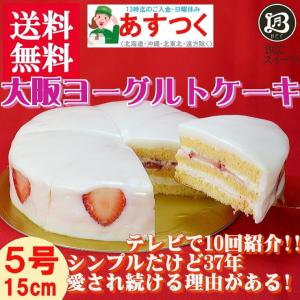 ケーキ TVで紹介されました「ラヴィット！」ノーマル 大阪ヨーグルトケーキ 5号 15cm 【このケーキは名入れできません名入れ希望は他のケーキをお選び下さい】