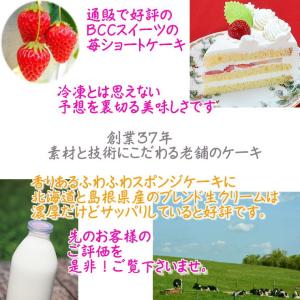 ケーキ 誕生日ケーキ 5号 リース P付 生ク...の詳細画像2