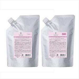 デミ フローディア グランストレッチ シャンプー 1000ml +トリートメント 1000ｇ 2個セット 宅配便送料無料 ふんわり ボリューム 弾力 艶髪 BC-T｜b-cafe
