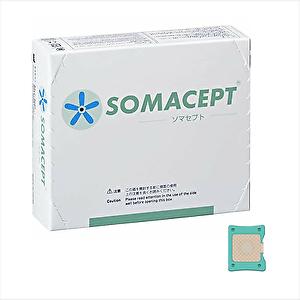 東洋レヂン ソマセプト Ｌサイズ 100枚入り 一般医療機器 送料無料 ブルー 硬め 刺さない皮膚刺...