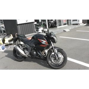 ER250C Z250 *1629964522...の詳細画像1