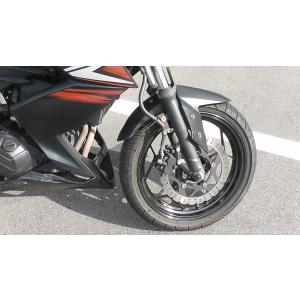 ER250C Z250 *1629964522...の詳細画像4
