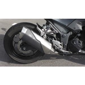 ER250C Z250 *1629964522...の詳細画像5