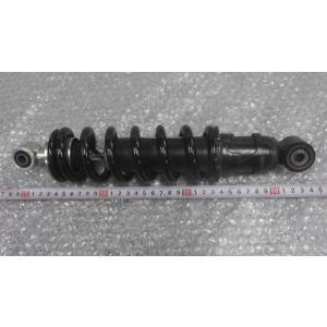 そるてぃーや Ninja ZX-25R SE ZX250E-A02xxx の スロットルボディ *1648696619 中古