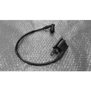 ZOOMER FI　<ズーマーFI>　AF58 の イグニッションコイル *1698897877　中...