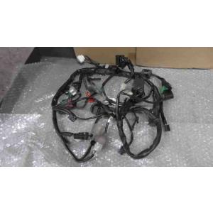 カブ50　AA09-1013xxx　の　ハーネス *1720146658　中古