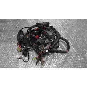 カブFI　AA01-1702xxx　の　メインハーネス *1726201370　中古