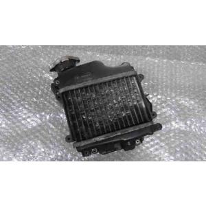 ZOOMER（ズーマー）AF58-1308xxx　の　ラジエター *1743474708　中古