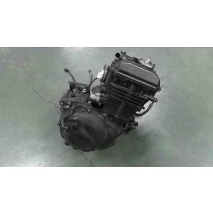 ニンジャ Ninja 250R　EX250K-A23xxx　の　エンジン *1774401153　中...