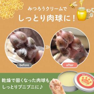 国産 天然みつろう 肉球クリーム 30g 犬猫...の詳細画像5