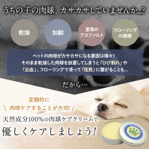 国産 天然みつろう 肉球クリーム 60g 無添...の詳細画像5