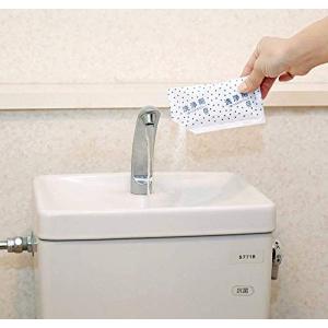 トイレタンク 洗浄剤 35g×4包 掃除 洗剤...の詳細画像2