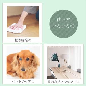 オーストラリア産 天然100% ティーツリーオ...の詳細画像4