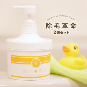除毛革命 薬用 除毛クリーム 500g 大容量 微香性 低刺激 日本製 除毛剤