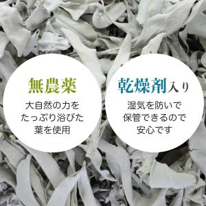 ホワイトセージ 浄化 枝無し リーフ 約50g...の詳細画像4
