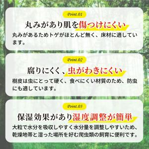 バークチップ 4L 爬虫類 床材 マット 松樹...の詳細画像3