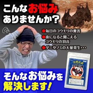 コウモリ 忌避 シート 10枚入り 忌避剤 対...の詳細画像2