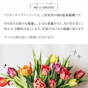 クリザール 100袋 切り花 延命剤 切花 長...の詳細画像2