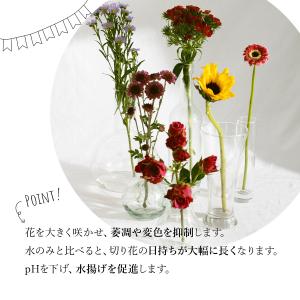 クリザール 100袋 切り花 延命剤 切花 長...の詳細画像3