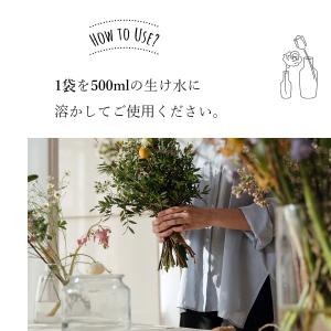 クリザール 100袋 切り花 延命剤 切花 長...の詳細画像5